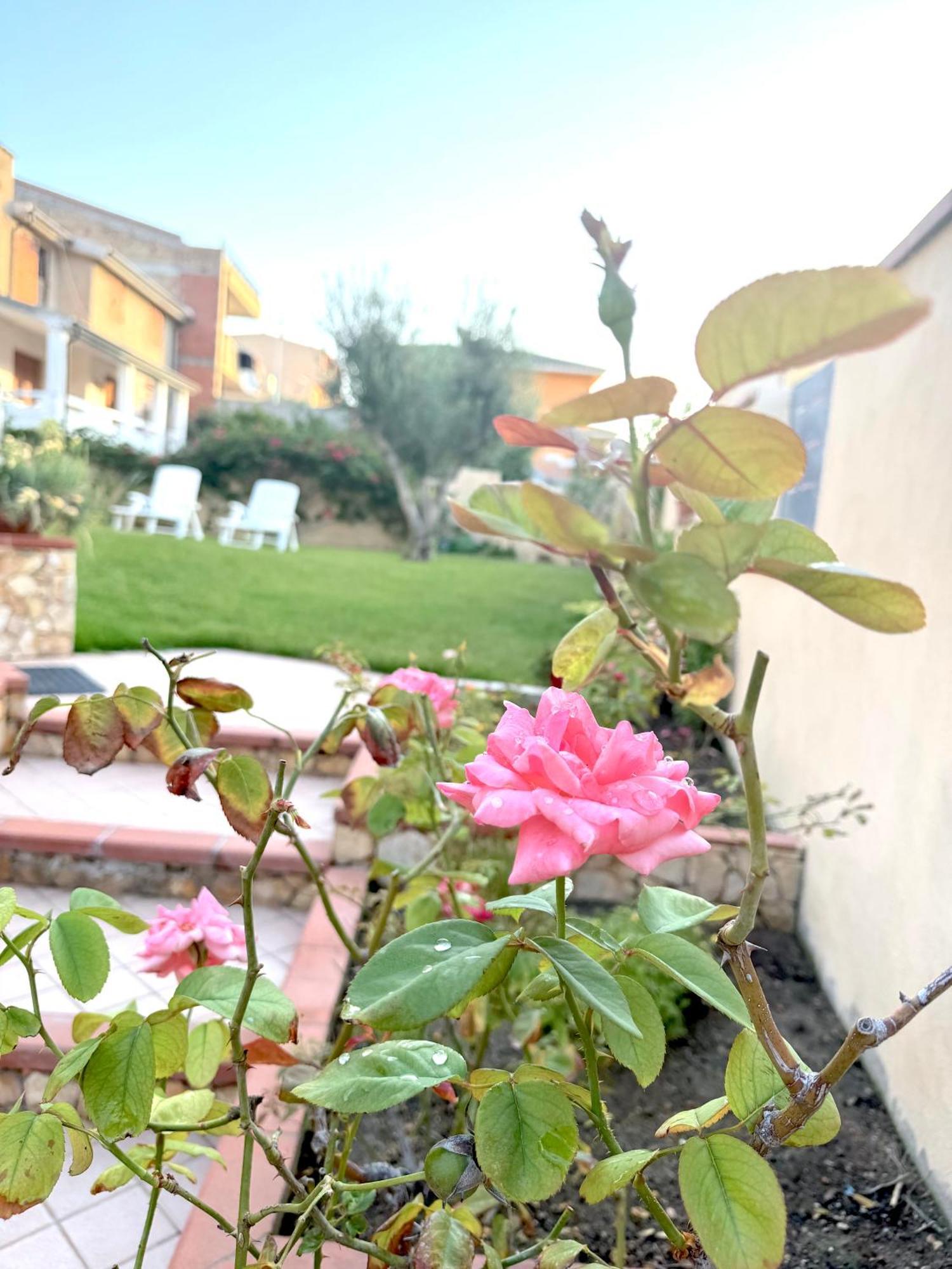 Rosa'S House - Zona Ospedaliera Apartman Cagliari Kültér fotó